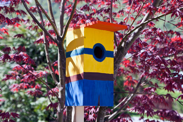 Bright, fun house for birds