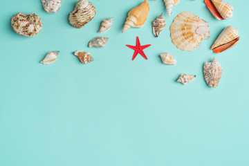 Composition of exotic sea shells on a blue background. Summer concept. Flat Lay. Top View
