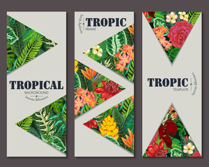 Vector collection with six cards, notes and banners with toucan, exotic flowers, plants and leaves.