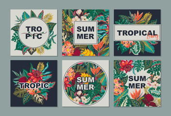 Fototapeta premium Vector collection with six cards, notes and banners with exotic flowers, plants and leaves.