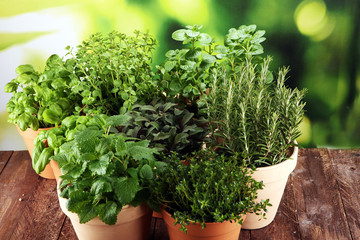 Homegrown and aromatic herbs in old clay pots on rustic background