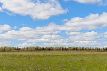 Spring landscape with green field, blue sky with clouds and forest on the horizon