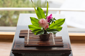 Indoor plant on wooden table