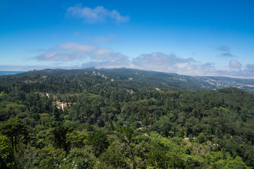 park of national palace da pena