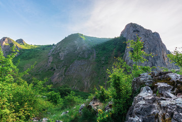 morning in the Valisoara gorge, romania. wonderful forenoon in the canyon. on the edge of a slope