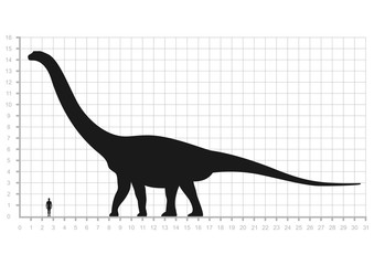 Comparison of human and dinosaur sizes measuring scale isolated on white background. Argentinosaurus or Brachiosaurus silhouette black. Vector illustration