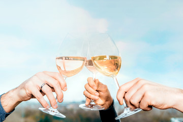 clinking and toasting hanging up the wine glasses celebrating life and friendship