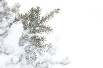 Winter landscape of country fields and roads