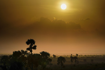 Landscape in Murchison falls