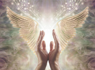 Sensing Angelic Energy - Male hands reaching up into a beautiful pair of golden Angel wings with...