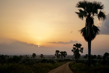 Obraz premium Landscape in Murchison falls