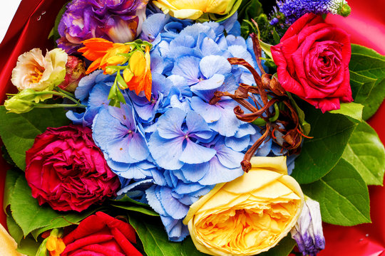 Close-up photo ofp bouquet of multi-colored roses.
