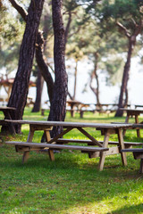 Image of green park with trees, wooden benches, table .