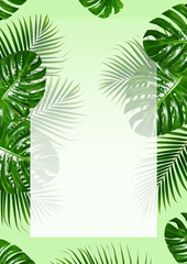 Fototapeta na wymiar Photo creative tropical green leaf summer frame