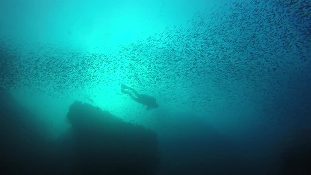 Scuba diver exploring coral reef with fish 