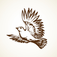 Vector drawing. Small titmouse