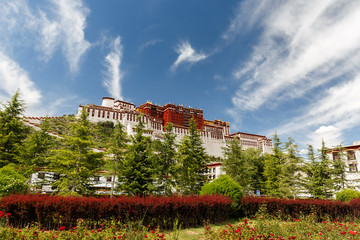 LHASA, TIBET / CHINA - July 31, 2017: View on Potala Palace with firs in the foreground. Blue sky...