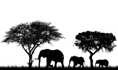 Fototapeta na wymiar Realistic illustration of landscape with trees in african safari. A family of three elephants with a baby go in the grass, vector