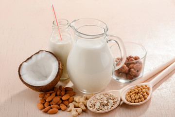 Homemade vegan milk