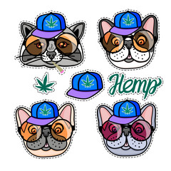 Set Raccoon and dog boy in cool hip hop style. Vector for print on T-shirts and other souvenir products. Hemp lettering isolated on white