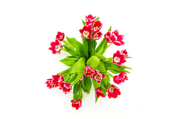 Bouquet of tulips in the snowy woods.