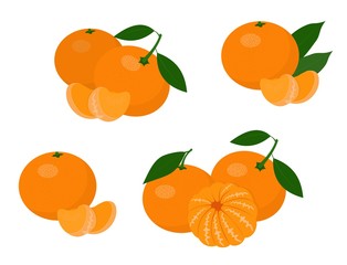 Mandarines, tangerine, clementine with leaves isolated on white background. Citrus fruit. Raster Illustration set