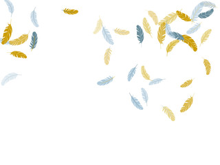 Detailed majestic feather on white design.