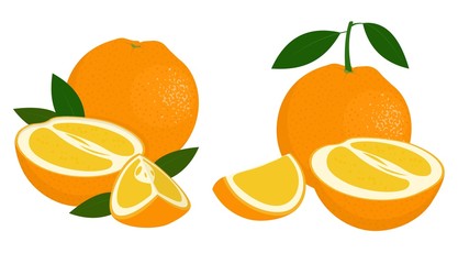 Orange whole, half and slice of orange with leaves on white background. Citrus fruit. Raster illustration of oranges on white background.