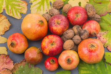Naklejka na ściany i meble Autumn fruits