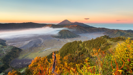 Sunrise over Mount Bromo,  Java, Indonesia