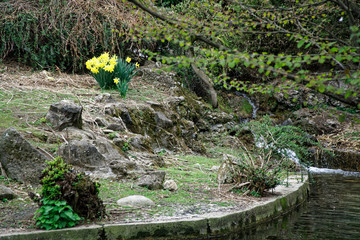 Flowing water stream, water drops and reflection