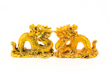 golden dragons on white background