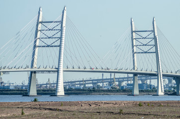 white cable-stayed bridge