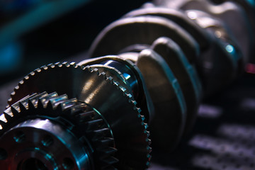 crankshaft with gears