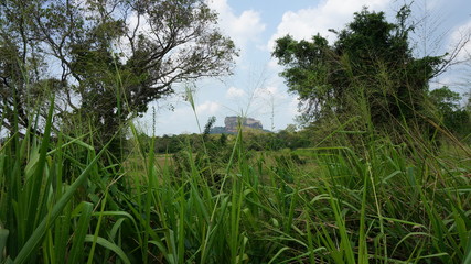 Sigiriya Lion Rock fortress and landscape in Sri Lanka, kings palace behind gras