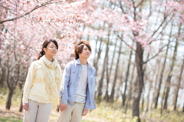 Fototapeta premium 桜の前で深呼吸をするカップル