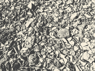 Coquina. Abstract Background. Grunge Texture. Vector illustration.