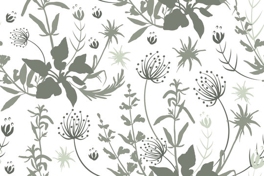 Grey silhouettes of flowers and herbs.