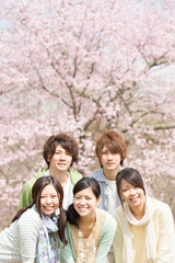 桜の前で微笑む若者たち