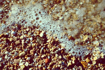 background of sea sand with seashells and sea foam