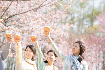乾杯をする若者たち