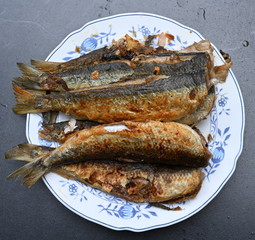 Heringssaison, grüner Hering in der Pfanne gebraten