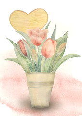Watercolor hand drawn spring bouquet with tulips. For posters, cards, design and logo