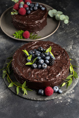 Chocolate cake with berries and green leafs on gray plate