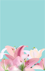 Flowers, vector illustration blue background lily pink