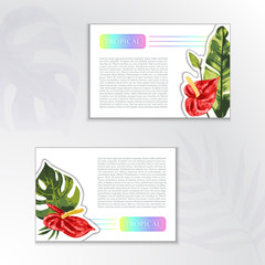 Set of vector backgrounds, two cards with green tropical leaves of banana, monstera and red anthurium. Summer template with exotic plants and place for text, advertising and information.