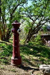 fire hydrant in park