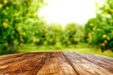 Desk of free space for your decoration and spring blurred background 