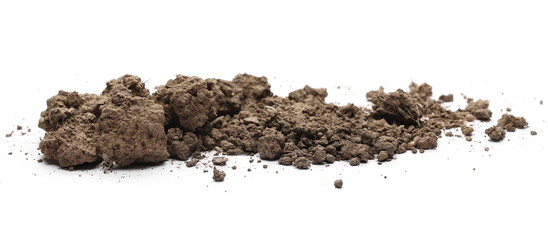 Dirt, soil with chunks isolated on white background