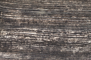 Grunge wooden plank closeup macro pattern texture.